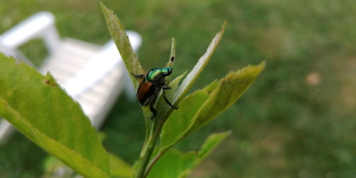 Nature Preserve «Cool Spring Preserve», reviews and photos, 1469 Lloyd Rd, Charles Town, WV 25414, USA
