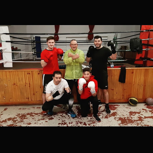Escola de Boxe & Kickboxing de São João de Ver - Academia