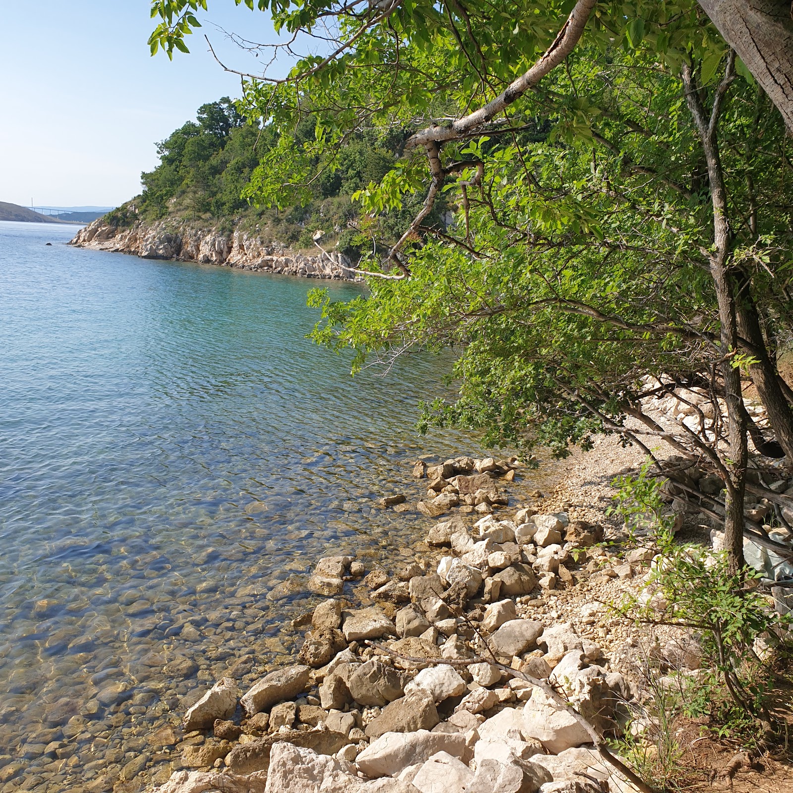 Foto von Trstena beach mit gerader strand