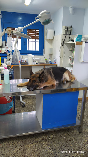 Garem Veterinarios Segur en Segur de Calafell