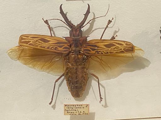 Museum «May Natural History Museum», reviews and photos, 710 Rock Creek Canyon Rd, Colorado Springs, CO 80926, USA