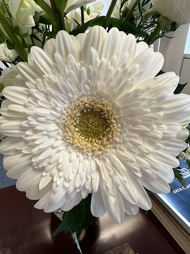 Florist «Something Special Florist», reviews and photos, 1546 Main St, Columbia, SC 29201, USA