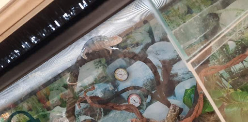 Pet Supply Store «Petco Animal Supplies», reviews and photos, 3835 Phoenix Ave, Fort Smith, AR 72903, USA