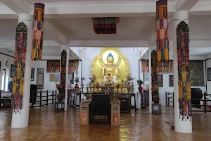 Main Buddha Temple image