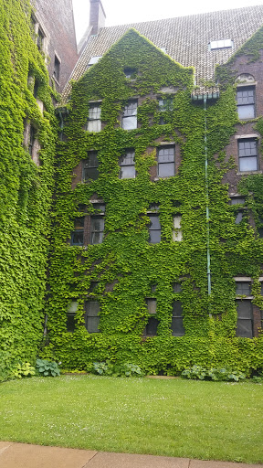 Performing Arts Theater «Collingwood Arts Center Inc», reviews and photos, 2413 Collingwood Blvd, Toledo, OH 43620, USA