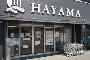 Hayama Station image