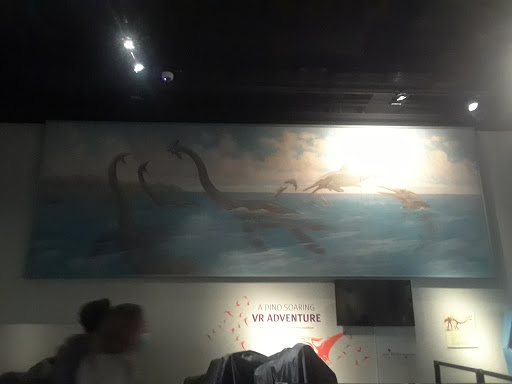 Museum «The Field Museum», reviews and photos, 1400 S Lake Shore Dr, Chicago, IL 60605, USA