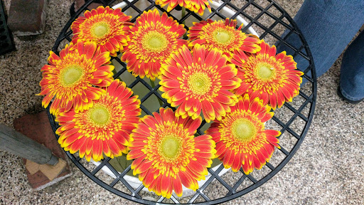 Florist «Tiger Lily Floral», reviews and photos, 700 E Sahara Ave, Las Vegas, NV 89135, USA