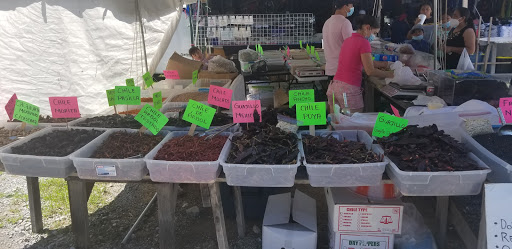 Flea Market «Parkland Flea Market & Restaurant», reviews and photos, 4994 Murfreesboro Rd, Lebanon, TN 37090, USA