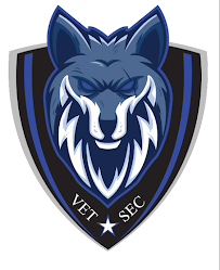 VetSec LLC - Photo 3 - Car repair in Savannah, GA, Savannah