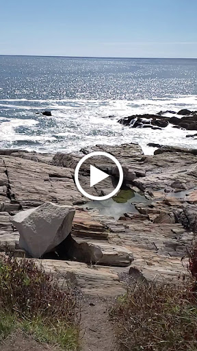 Grocery Store «Safeway», reviews and photos, 12821 Braemar Village Plaza, Bristow, VA 20136, USA