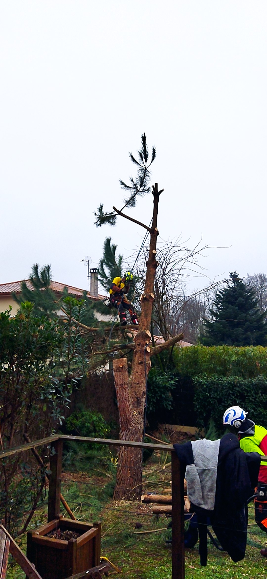 Photo n° 2 de l'avis de Nelly.a fait le 04/03/2024 à 18:11