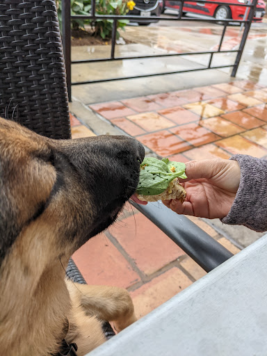 American Restaurant «Corner Bakery Cafe», reviews and photos, 4021 N 10th St, McAllen, TX 78504, USA