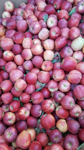 Produce Market «Hudson Farmers Market», reviews and photos, 3437 John F. Kennedy Blvd, Jersey City, NJ 07307, USA