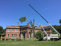 Kinnucan Tree Experts & Landscape Company - Photo 8 - Car repair in Lake Bluff, IL, Round Lake Beach