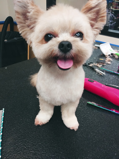 Pet Supply Store «Petsense Columbia», reviews and photos, 7402 Garners Ferry Rd, Columbia, SC 29209, USA