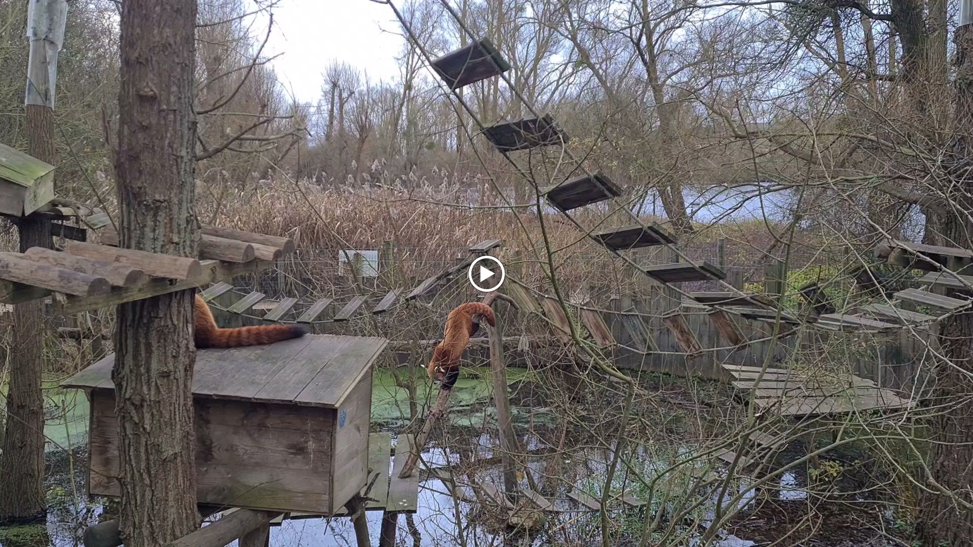Photo n° 42 de l'avis de Ludovic.A fait le 29/12/2023 à 16:51