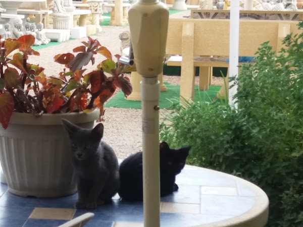 Imagen de Centro de Jardinería Kuka (12 de 32)