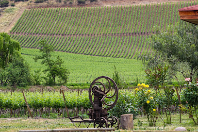 Venta Vinos Late Harvest Chile Ruta del Vino Valle del Maipo VIÑA ESPALDARES DEL MAIPO