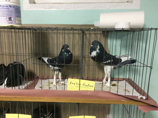 Park «Warsaw Park», reviews and photos, 119 Pulaski Hwy, Ansonia, CT 06401, USA