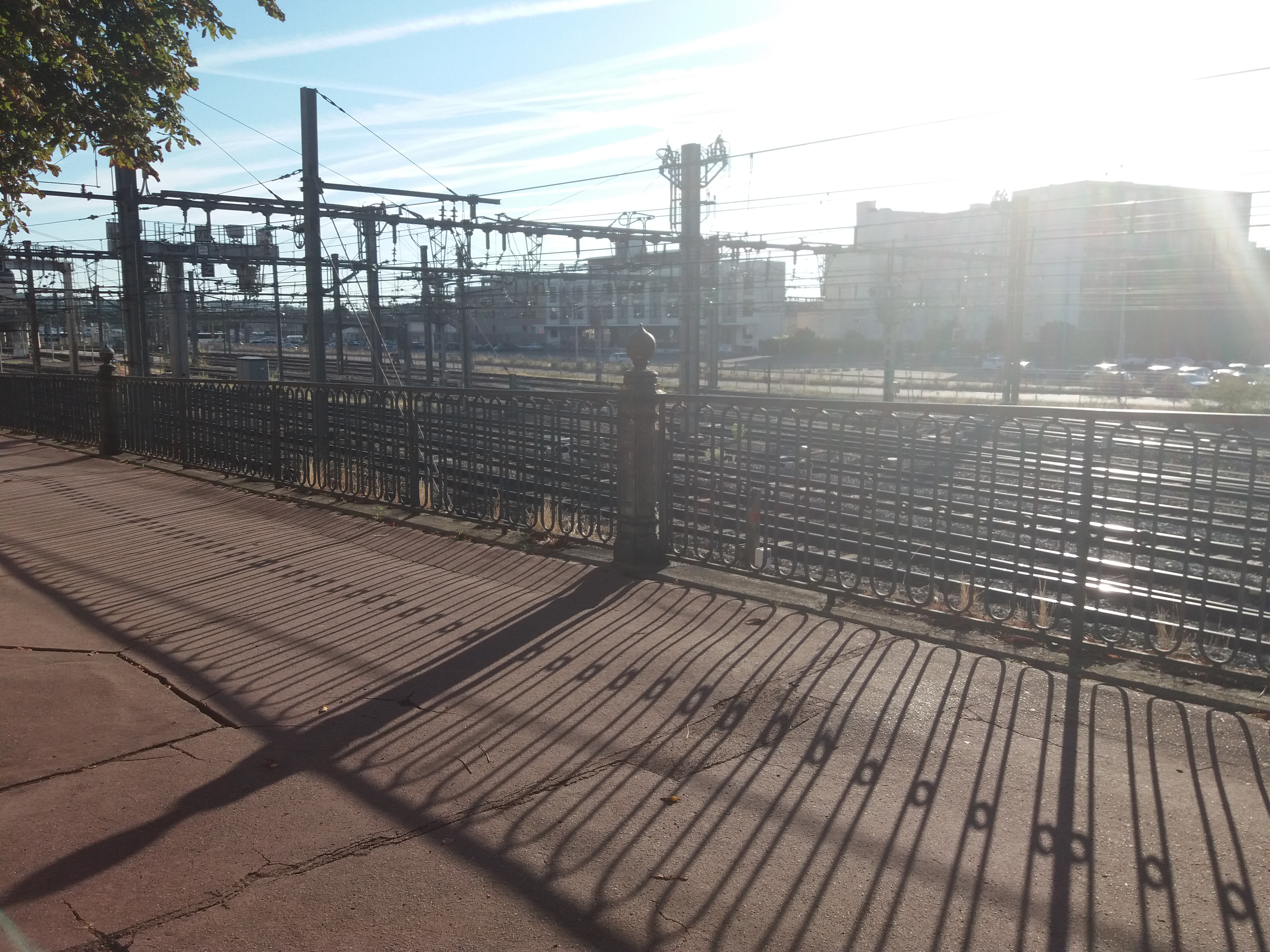 Photo n° 5 de l'avis de Lili.e fait le 16/08/2018 à 07:38