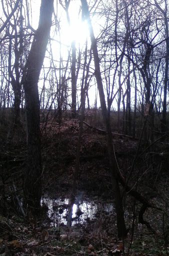 Golf Course «Wilkshire Golf Course», reviews and photos, 10566 Wilkshire Blvd NE, Bolivar, OH 44612, USA