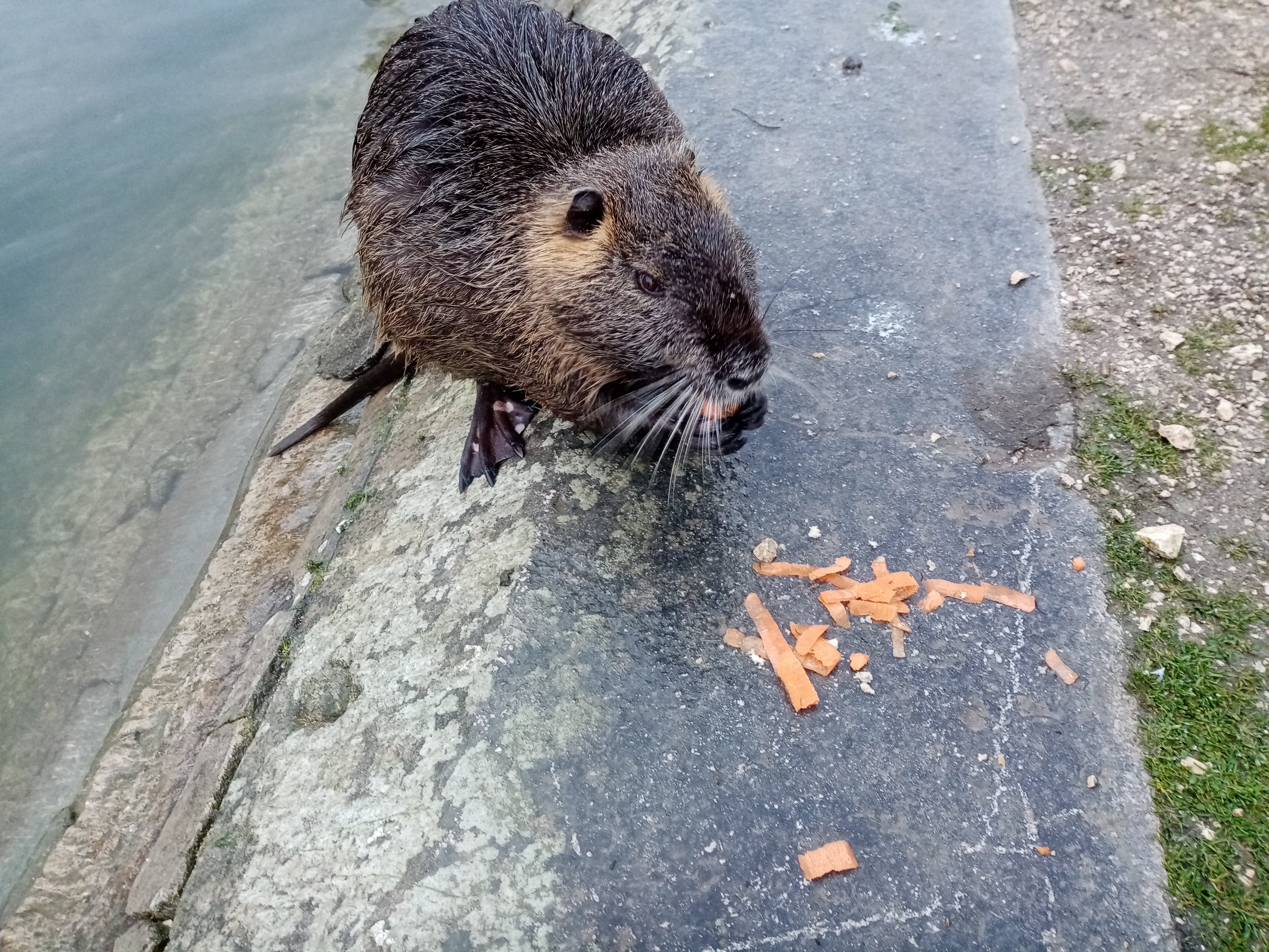 Photo n° 1 de l'avis de Jacques.a fait le 27/12/2020 à 12:14
