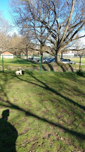 Schellin Park - photo 81
