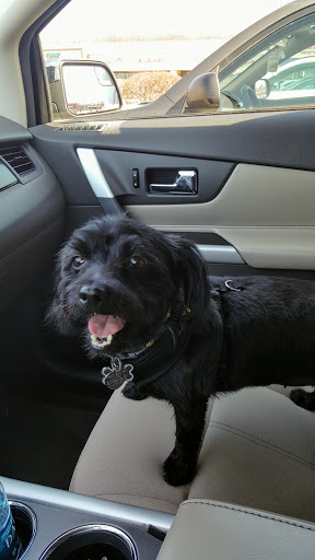 Pet Supply Store «PetSmart», reviews and photos, 130 U.S. 9, Englishtown, NJ 07726, USA