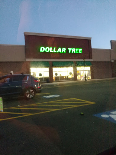 Dollar Store «Dollar Tree», reviews and photos, 495 Flatbush Ave, Hartford, CT 06106, USA