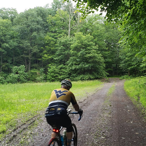 Bicycle Store «Element Sports», reviews and photos, 2009 S Loudoun St, Winchester, VA 22601, USA