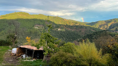 Saveurs du Castanet à Le Collet-de-Dèze