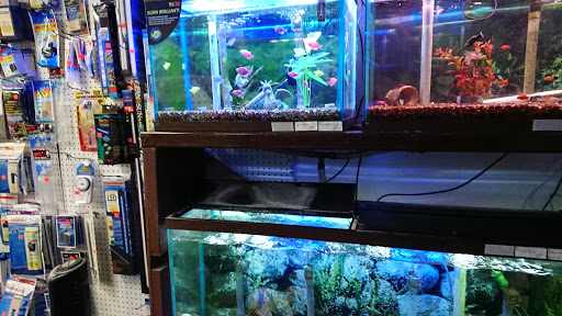 Pet Store «Aquatic Pets», reviews and photos, 414 Division St S, Northfield, MN 55057, USA