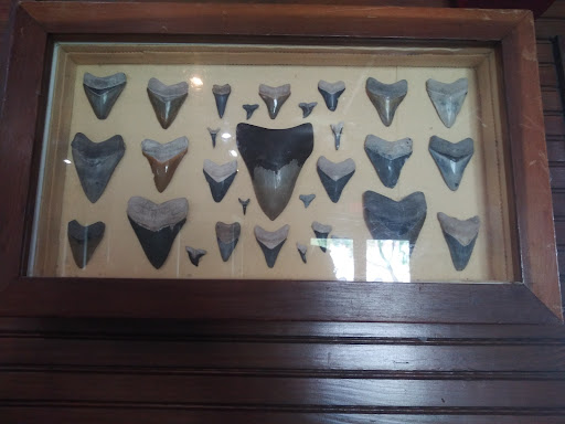 Museum «Phosphate Museum», reviews and photos, 101 SE 1st St, Mulberry, FL 33860, USA