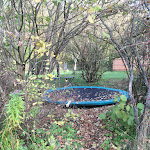 Photo n°3 de l'avis de Bini.i fait le 31/10/2021 à 16:21 sur le  Biohotel Spöktal à Bispingen