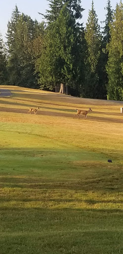 Golf Course «Lake Wilderness Golf Course», reviews and photos, 25400 Witte Rd SE, Maple Valley, WA 98038, USA