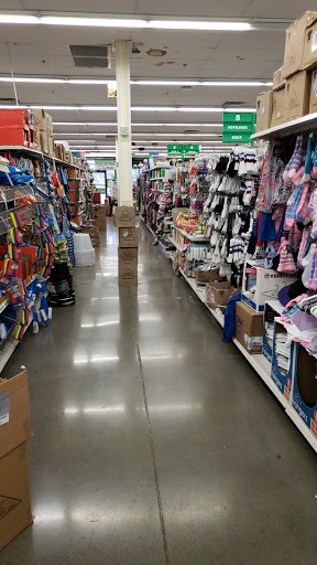 Dollar Store «Dollar Tree», reviews and photos, 7601 Evergreen Way, Everett, WA 98203, USA