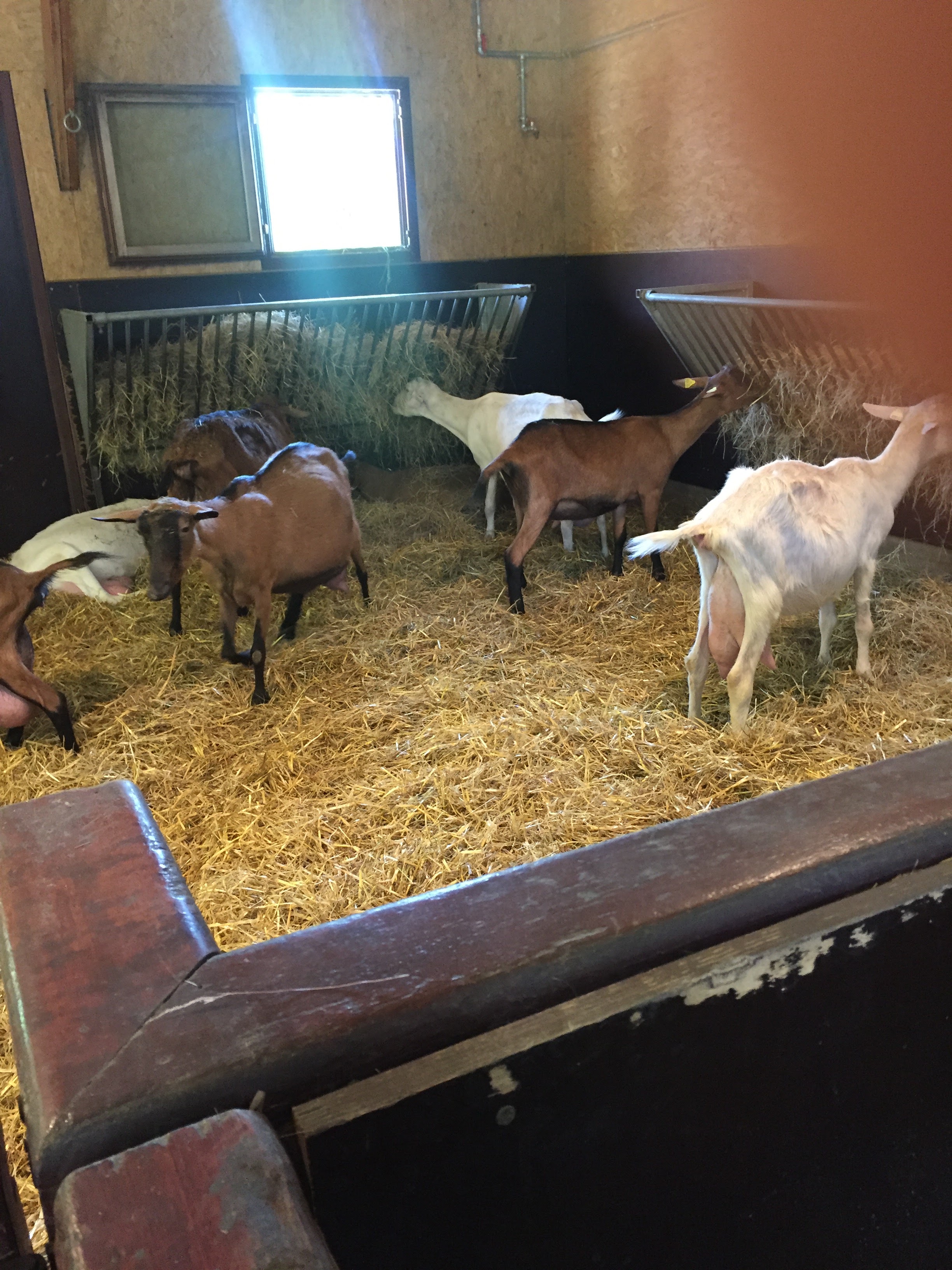 Photo n° 25 de l'avis de lou.o fait le 21/04/2018 à 14:21