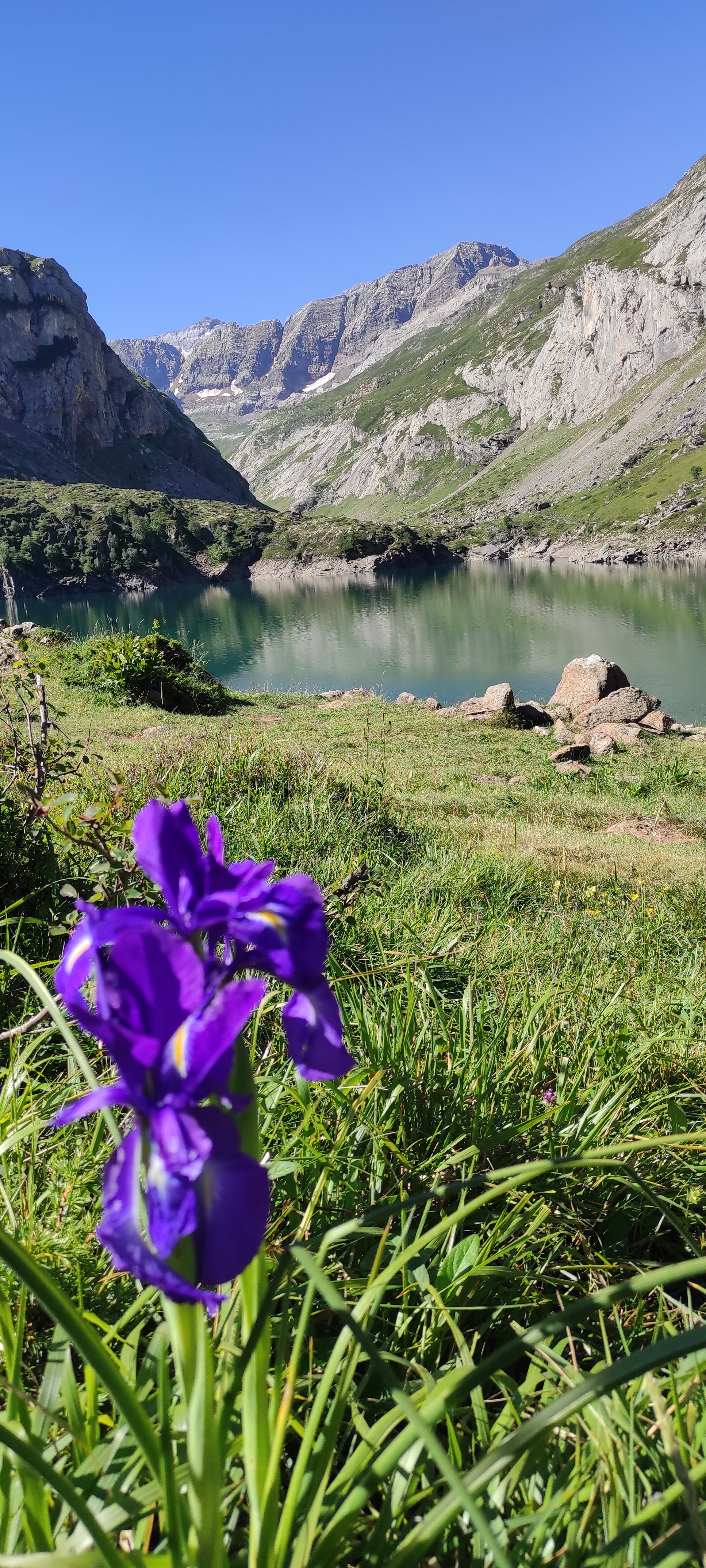 Photo n° 22 de l'avis de Remi.a fait le 10/07/2022 à 13:45