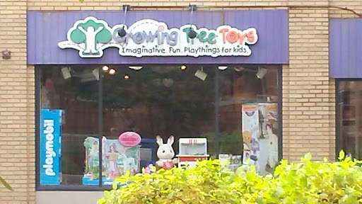 Gift Shop «Growing Tree Toys», reviews and photos, 202 S Allen St, State College, PA 16801, USA
