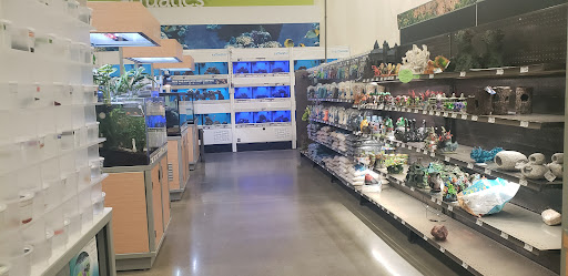 Pet Supply Store «Petco Animal Supplies», reviews and photos, 693 Middletown Warwick Rd, Middletown, DE 19709, USA