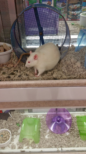 Pet Supply Store «Petco Animal Supplies», reviews and photos, 1951 N Military Trl c, West Palm Beach, FL 33409, USA