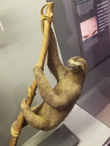 Museum «Peabody Museum of Archaeology and Ethnology», reviews and photos, 11 Divinity Ave, Cambridge, MA 02138, USA