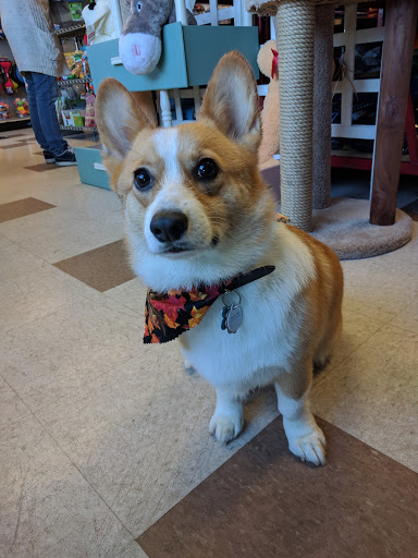 Pet Supply Store «Bubbles2biscuits», reviews and photos, 21897 S Diamond Lake Rd, Rogers, MN 55374, USA