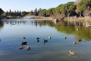 Parque Infanta Elena image