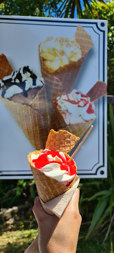 Reviews of Danish Delight Ice Cream in Auckland - Ice cream