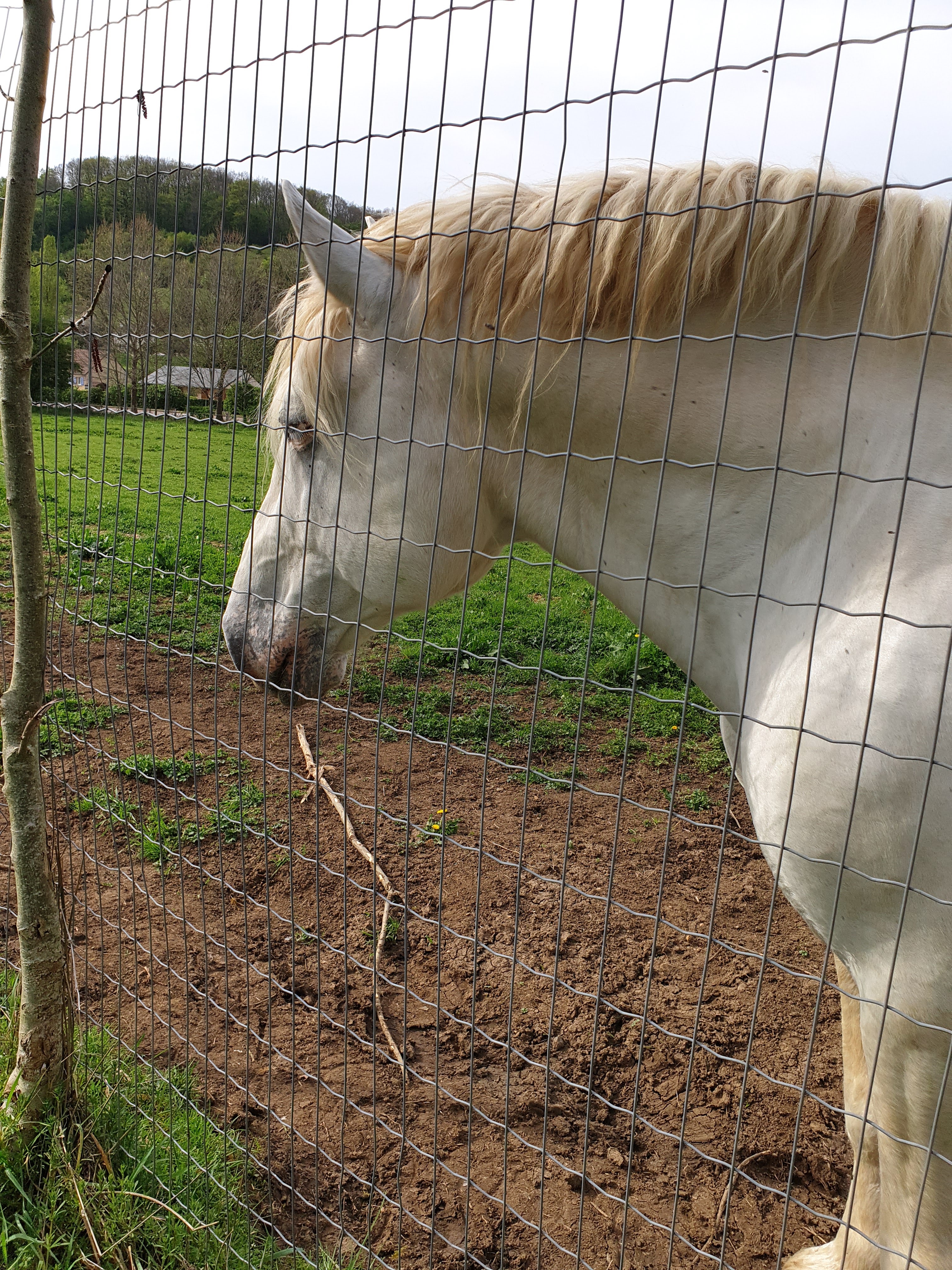 Photo n° 3 de l'avis de Cynthia.a fait le 23/04/2019 à 23:37