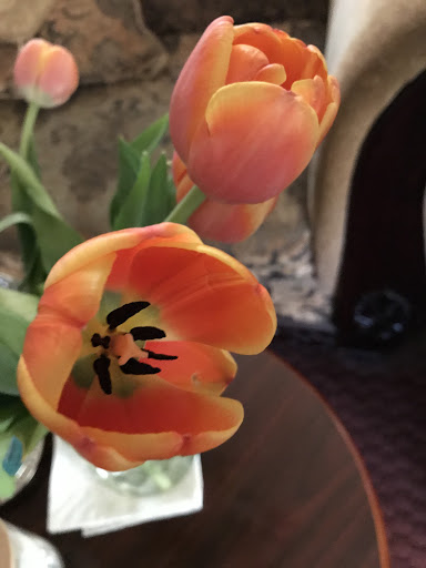 Florist «Tulipia Floral Design», reviews and photos, 7617 Lake St, River Forest, IL 60305, USA