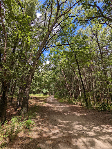 State Park «Lowell-Dracut-Tyngsborough State Forest», reviews and photos, Trotting Park Rd, Dracut, MA 01826, USA