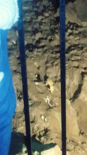 Tourist Attraction «Indiana Caverns», reviews and photos, 1267 Green Acres Dr SW, Corydon, IN 47112, USA